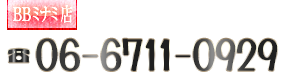 TEL:06-6711-0929
